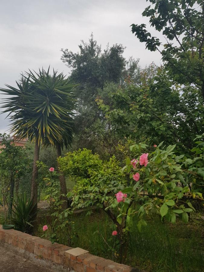 Villa "Il Nespolo" Scauri  Exterior foto